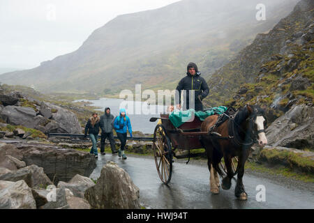 Pullman, Valle, Gap di Dunloe, Irlanda Foto Stock