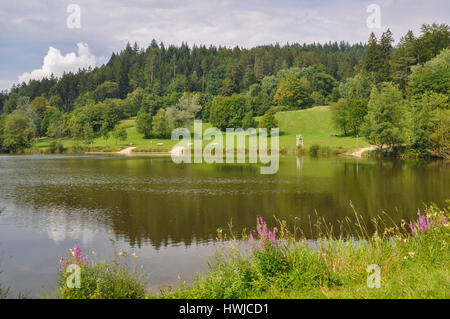 Diebach stagno, Diebach, Fichtenberg, Swabian-Franconian foresta, Hohenlohe regione, Schwaebisch Hall, Baden-Wuerttemberg, Heilbronn-Franconia, Germania Foto Stock