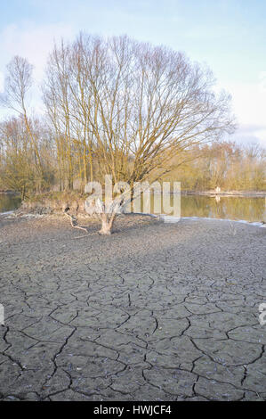 Essiccazione stagno, Bibersfeld, Rosengarten-Raibach, Swabian-Franconian foresta, Hohenlohe regione, Schwaebisch Hall, Baden-Wuerttemberg, Heilbronn-Franconia, Germania Foto Stock