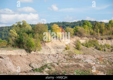 Pietra di cava, Rosengarten-Wilhelmsglueck, Swabian-Franconian foresta, Schwaebisch Hall, Hohenlohe regione, Baden-Wuerttemberg, Heilbronn-Franconia, Germania Foto Stock