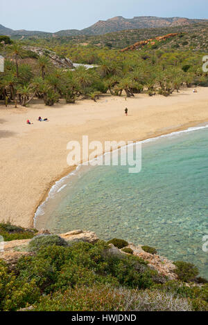 Spiaggia di Vai con Cretan palme da dattero, Creta, Grecia, , Phoenix theophrasti, Foto Stock