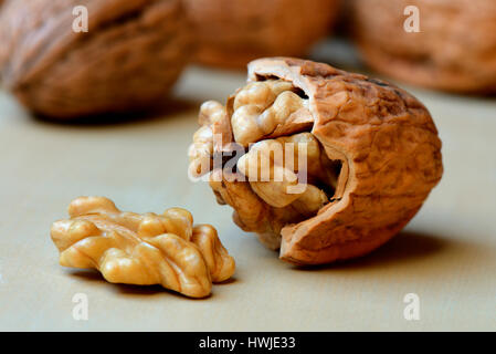 Walnuss geoeffnete, Juglans regia Foto Stock