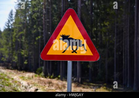 Moose cartello stradale in Svezia Foto Stock