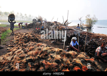 Un lavoratore assunzione di gusci di noce di cocco [lo strato esterno di pelle asportate] alla fabbrica di cocco. Foto Stock