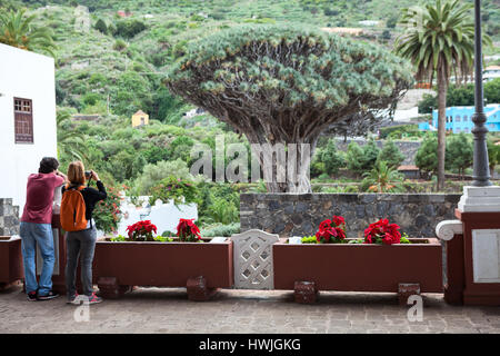 A Icod de los Vinos, Tenerife, SPAGNA - Circa gen, 2016: turisti fotografare Dragon Tree dalla piattaforma del sindaco di Iglesia de San Marcos chiesa. Dracaena dr Foto Stock