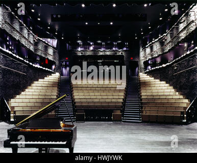 Interno del Teatro visto dal palco. Il Walker Art Center a Minneapolis, Stati Uniti. Architetto: Herzog e de Meuron, 2005. Foto Stock
