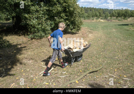 Ragazzo carriola spinta piena di legna da ardere registra su tutto il campo. Polacco età maschio 12 in lavoro. Zawady Polonia centrale Europa Foto Stock