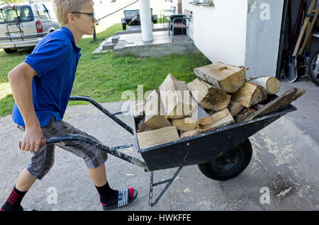 Ragazzo carriola spinta piena di legna da ardere fino al garage viale. Polacco età maschio 12 in lavoro. Zawady Polonia centrale Europa Foto Stock