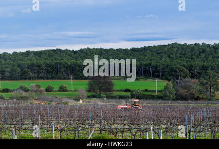 Trattore rosso lavorando sul campo di vigne inizio primavera in Spagna Foto Stock