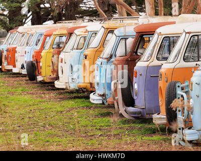 Melbourne, Australia, 2015, 4 settembre: Fila di defunti colorati e scendono i furgoni desolati di tutti gli stessi Volkswagen Bully tipo, Australia 2016 Foto Stock