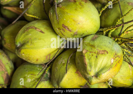 Noci di cocco Foto Stock