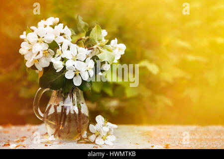 Fiore di Ciliegio bouquet Foto Stock