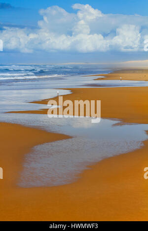 Dense piane di sabbia umida a Stockton Beach premuto da surf di onde. Vista verticale del vuoto lungo la linea costiera in NSW, Australia. Foto Stock
