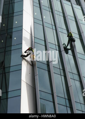 London, Regno Unito - 14 Marzo 2016: costruzione abseilers fissare parete di tamponamento dell'edificio Foto Stock