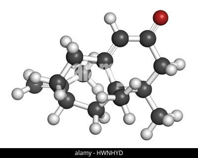 Nootkatone naturale repellente per insetti molecola. Presente nel pompelmo. Il rendering 3D. Gli atomi sono rappresentati come sfere con i tradizionali colori: hy Foto Stock