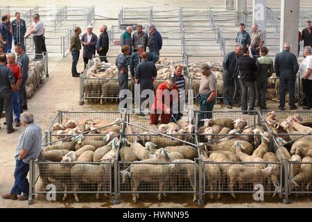 Francia, Haute Loire, Saugues, passo sulla via Podiensis verso Santiago de Compostela, coperto mercato del bestiame Foto Stock