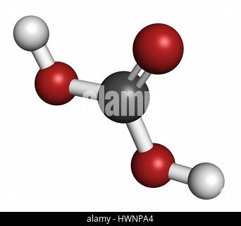 Acido carbonico molecola. Formato quando il biossido di carbonio viene sciolto in acqua (acqua gassata). Il rendering 3D. Gli atomi sono rappresentati come sfere con conve Foto Stock