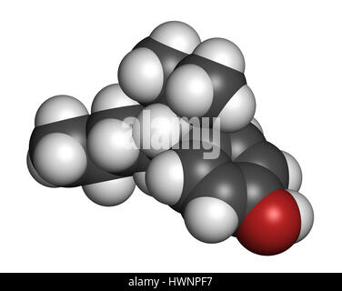 Nonilfenolo Endocrine Disruptor molecola (un isomero mostrato). Il rendering 3D. Gli atomi sono rappresentati come sfere con i tradizionali colori: idrogeno ( Foto Stock