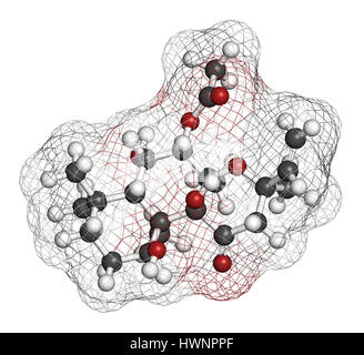 Il Forskolin (coleonol molecola). Attiva l'enzima adenil ciclasi, risultante in un aumento dei livelli di cAMP. Il rendering 3D. Gli atomi sono rappresentati come sp Foto Stock