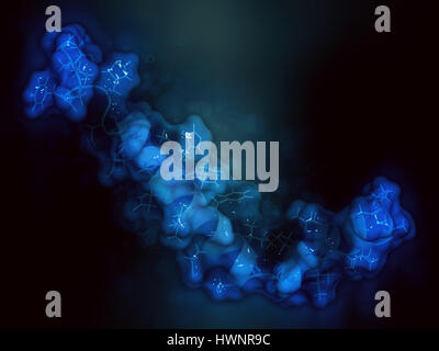 Beta-amiloide (Abeta) peptide, rendering 3D. Componente principale delle placche trovati nella malattia di Alzheimer. Stick rappresentazione combinata con semi-transpare Foto Stock