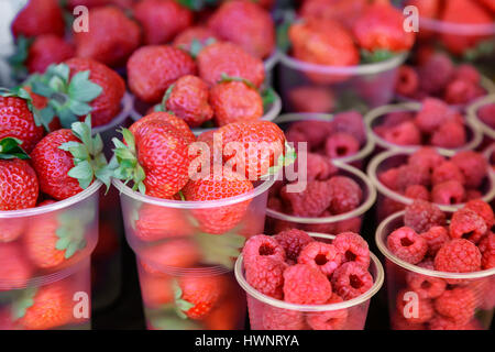 Le bacche mature di fragole e lamponi rosso in piccoli contenitori in vendita presso il negozio. Foto Stock