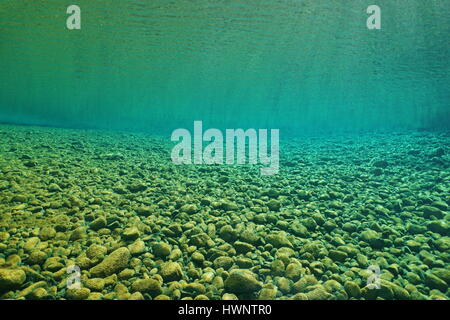 Ciottoli underwater sul letto del fiume con acqua chiara, naturale scena, Dumbea river, Nuova Caledonia, Sud Pacifico Foto Stock