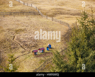 Alveari su un prato di montagna Foto Stock