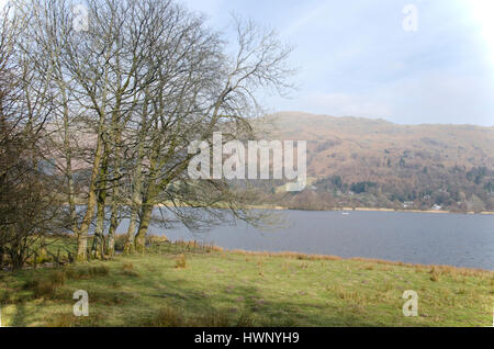 Sulle rive di Grasmere, Cumbria, Lake District, Inghilterra Foto Stock