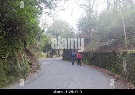 Ramblers su una strada tortuosa, Grasmere, Cumbria, Lake District Foto Stock