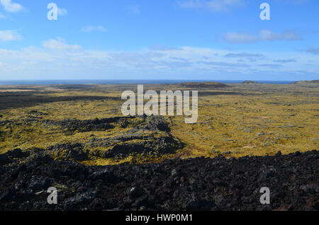 Moss coperto campo di lava in Islanda come visto da un cratere vulcanico. Foto Stock