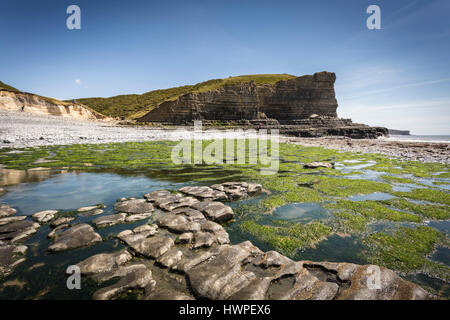 Cwm Nash beach, Marcross sul Glamorgan Heritage costa sud del Galles Foto Stock