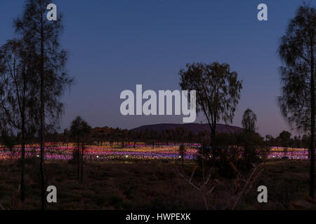 Yulara, Australia - 12 Ottobre 2016: Campo di luce da parte di un artista Bruce Monro a Ayers Rock / Uluru, Australia ha migliaia di luci colorate Foto Stock