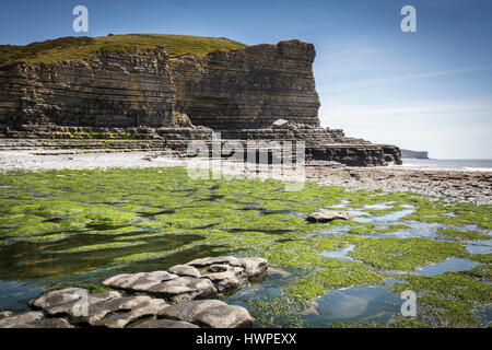 Cwm Nash beach, Marcross sul Glamorgan Heritage costa sud del Galles Foto Stock