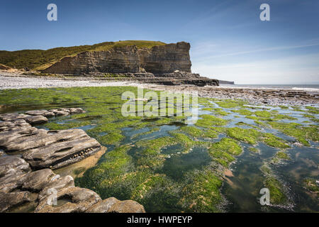 Cwm Nash beach, Marcross sul Glamorgan Heritage costa sud del Galles Foto Stock