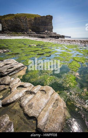 Cwm Nash beach, Marcross sul Glamorgan Heritage costa sud del Galles Foto Stock