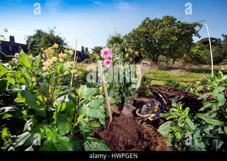 Re. La Terra giardinieri Henrietta Courtauld e Bridget Elworthy realizzare il compost a Wardington Manor vicino a Banbury, Oxfordshire - diffusione di compost tra Foto Stock