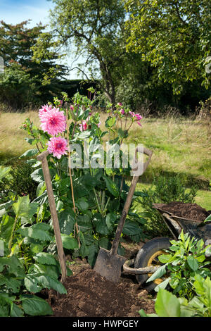 Re. La Terra giardinieri Henrietta Courtauld e Bridget Elworthy realizzare il compost a Wardington Manor vicino a Banbury, Oxfordshire - diffusione di compost tra Foto Stock