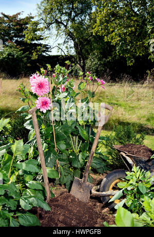 Re. La Terra giardinieri Henrietta Courtauld e Bridget Elworthy realizzare il compost a Wardington Manor vicino a Banbury, Oxfordshire - diffusione di compost tra Foto Stock