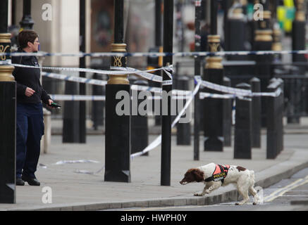 Un cane di polizia e il gestore vicino al Palazzo di Westminster, Londra, dopo un poliziotto è stato ucciso ed il suo apparente utente malintenzionato shot da parte di funzionari in un grave incidente di sicurezza presso le Case del Parlamento. Foto Stock