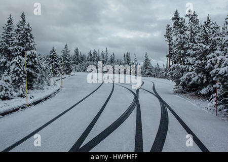Tracce di pneumatici su strade coperte di neve campo contro gli alberi Foto Stock