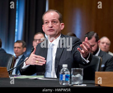 Washington, Stati Uniti d'America. 22 Mar, 2017. R. Alexander Acosta, Decano della Florida International University College di diritto e il Presidente degli Stati Uniti, Trump's nominee per Stati Uniti Segretario di lavoro, testimonia durante la sua audizione di conferma prima che gli USA Comitato del Senato sulla Salute, Istruzione, Lavoro & pensioni al Campidoglio di Washington il mercoledì 22 marzo, 2017. Credito: Ron Sachs/CNP - nessun filo SERVICE - foto: Ron Sachs/consolidato Notizie Foto/Ron Sachs - CNP/dpa/Alamy Live News Foto Stock