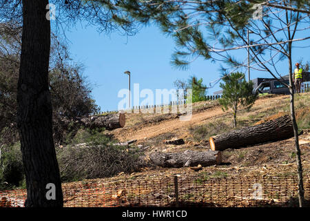 Sant Cugat del Valles, Barcelona, Spagna - 3 Aprile 2017: una foresta viene abbattuto per costruire sulle aree verdi. Foto Stock