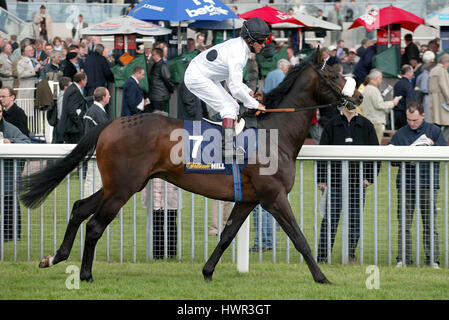 Nuovo cercatore cavalcato da D.HOLLAND IPPODROMO DI YORK YORK INGHILTERRA 14 Maggio 2003 Foto Stock