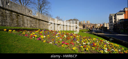 Vista panoramica di fiori di primavera dalle mura della città e York Minster Yorkshire Regno Unito Foto Stock