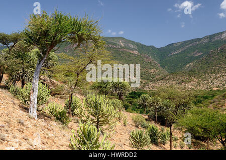 Kenya, paesaggi di montagna nei dintorni del Sud Horr villaggio di Samburu persone sulla strada per il lago Turkana Foto Stock