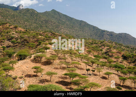 Kenya, paesaggi di montagna nei dintorni del Sud Horr villaggio di Samburu persone sulla strada per il lago Turkana Foto Stock
