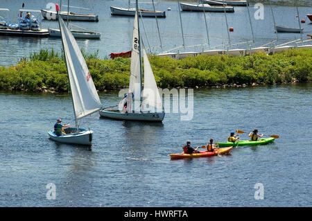 Barche a vela (Comunità) in barca a vela e kayak lungo il Fiume Charles vicino all'Esplanade, Boston, Massachusetts Foto Stock