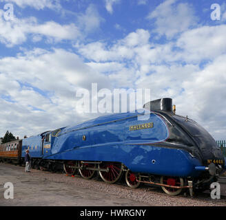 'Il Germano Reale' A4 locomotiva del Pacifico. Foto Stock
