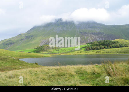 Uno scenario tranquillo vicino Cregennan laghi e Cadair Idris Foto Stock