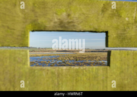 Visualizzare attraverso lo schermo, in corrispondenza del bordo della zona umida habitat, con piloni distanti, lin dyke, rspb fairburn ings, West Yorkshire, Inghilterra, gennaio Foto Stock